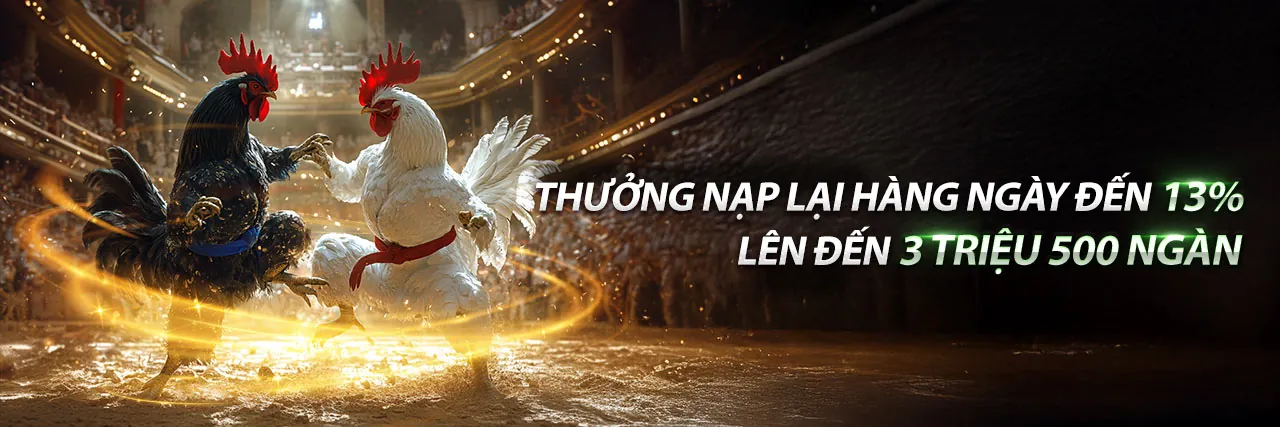 Hu8855 Blog – Nơi Cập Nhật Tin Tức Cá Cược Mới Nhất